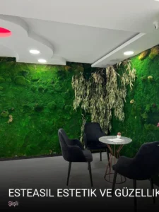 Şişli Esteasil Estetik ve Güzellik Merkezi — Kaş Laminasyonu