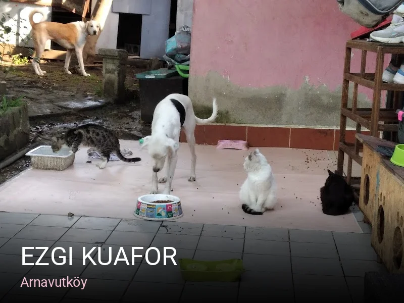 Arnavutköy Ezgi Kuafor — Saç Bakımı, Keratin
