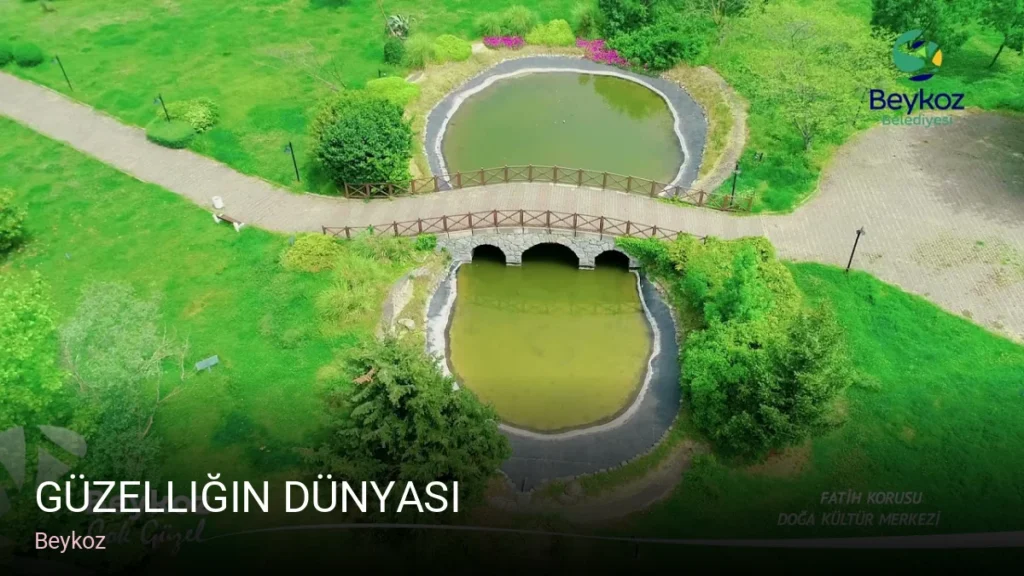 Beykoz Güzelliğin Dünyasi — Manikür, Pedikür, Protez Tırnak
