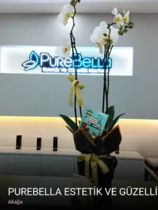 Aliağa PUREBELLA ESTETİK VE GÜZELLİK MERKEZİ — Kaş Laminasyonu