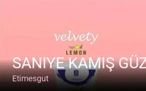 Etimesgut Saniye Kamış Güzellik Salonu — Ağda