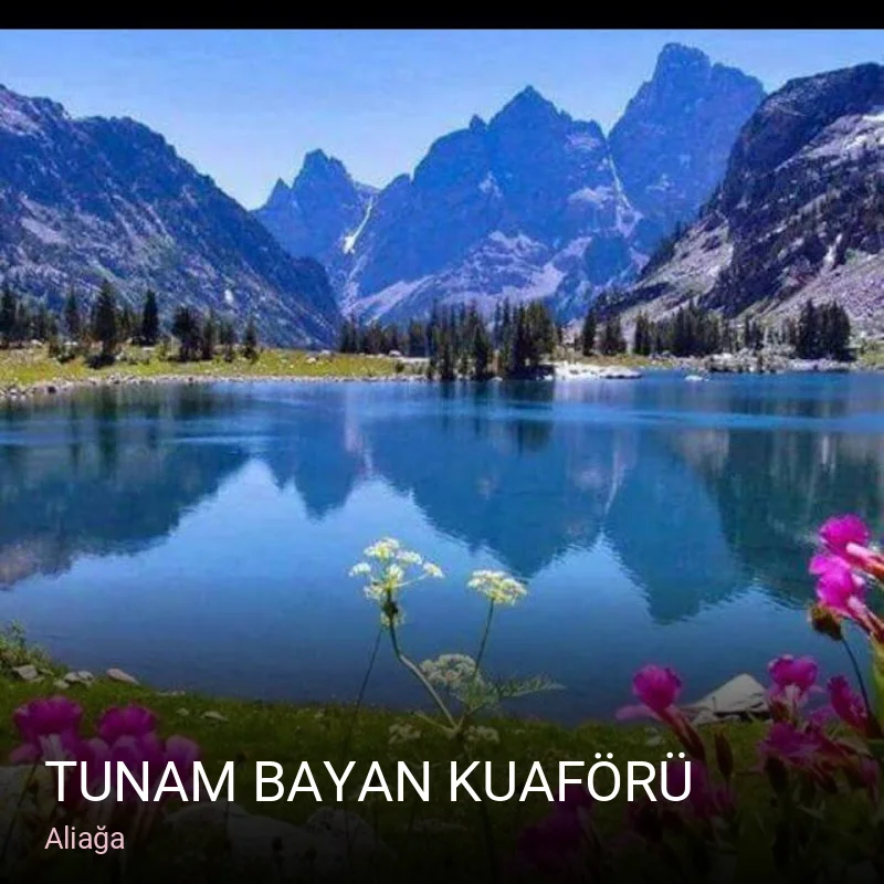 Aliağa Tunam Bayan Kuaförü — Saç Bakımı, Keratin